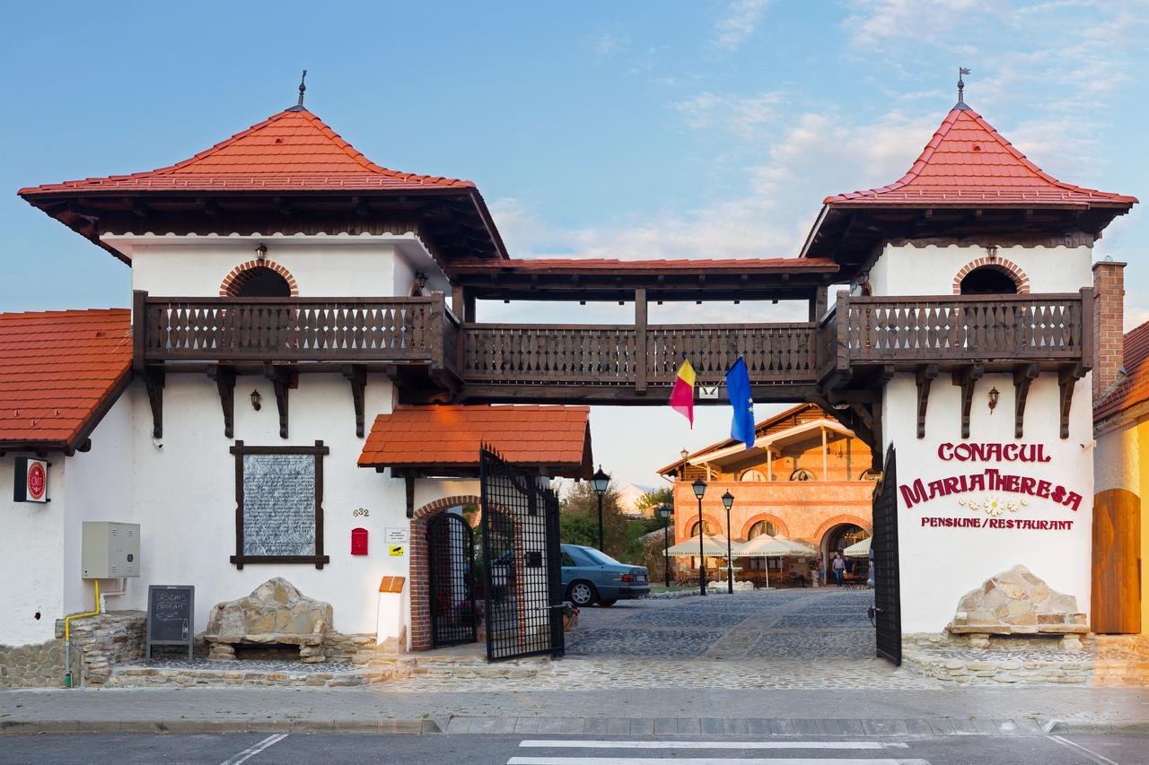 Conacul Maria Theresa Orlat Exterior foto